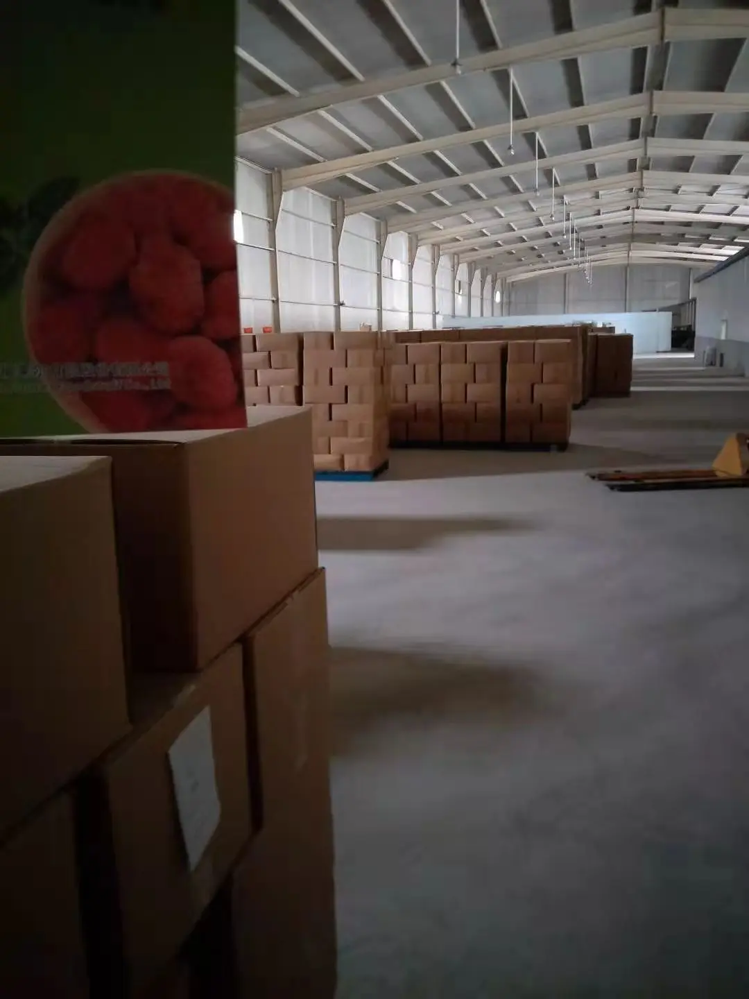 Wholesale Organic Dehydrated Fruits Healthy Snack Dried Kiwifruit preserved kiwifruit