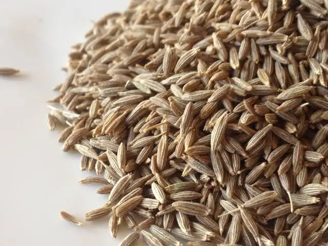 
cumin seed 