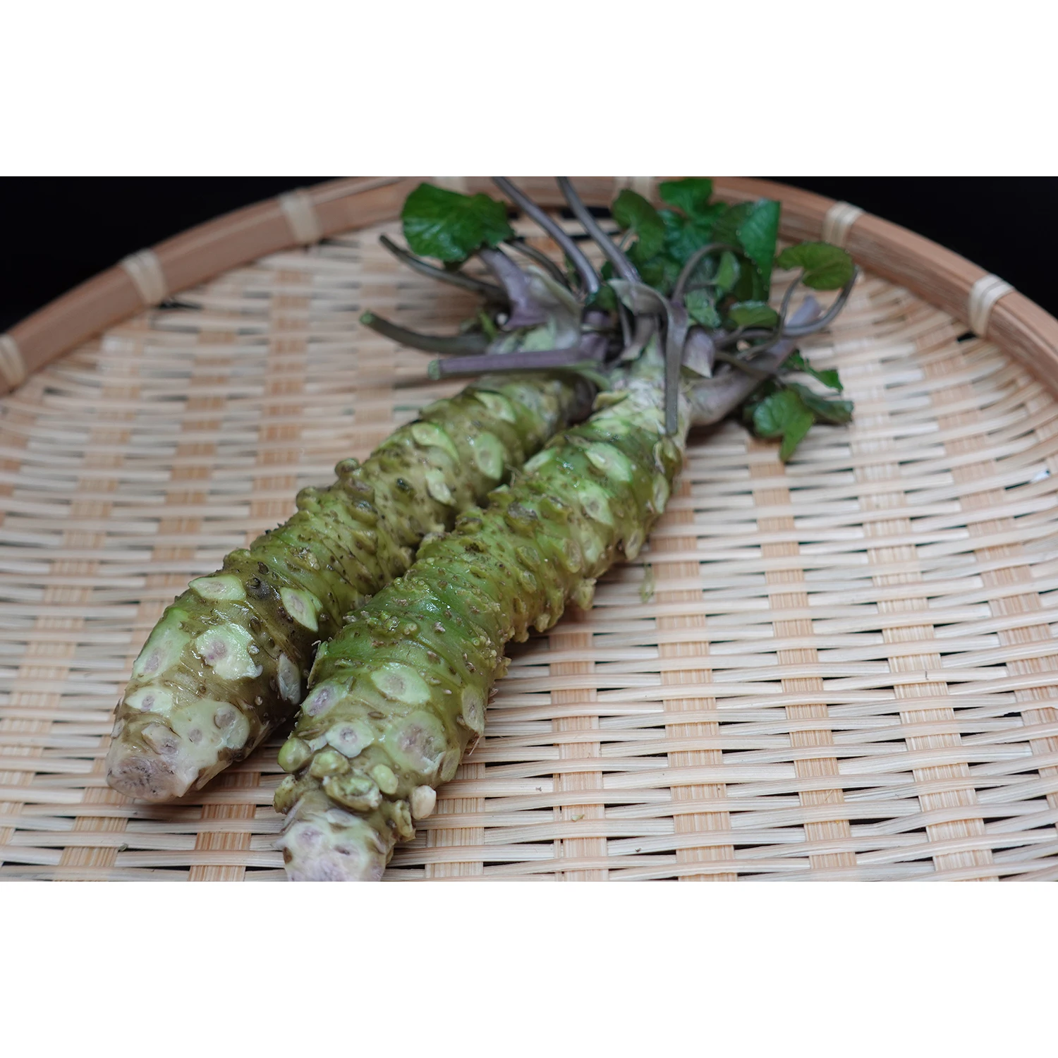 Japanese Wasabi Miso Paste For Teppanyaki Pickled Sauce And Meat Dishes