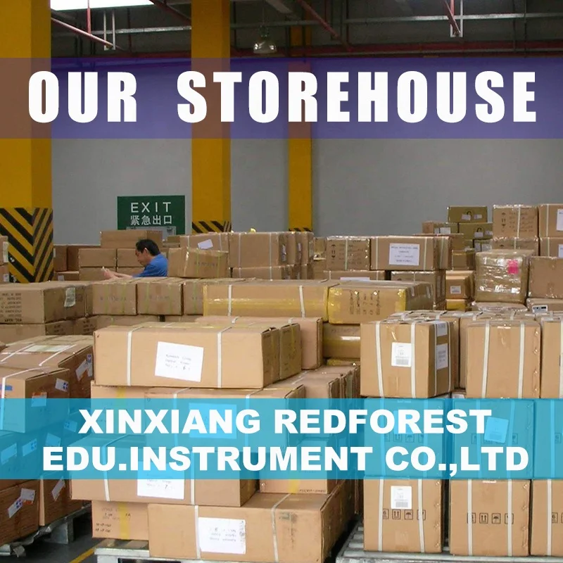 Модель куриного животного, женская модель курицы, анатомические модели животных для справки ветеринара