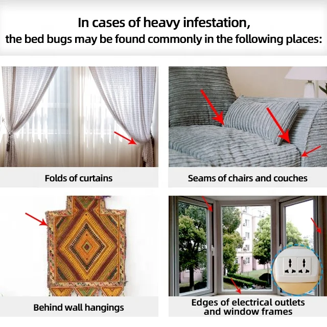 Latest for hotel use Bed Bug Killer Powder