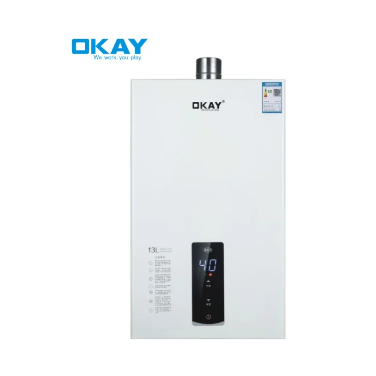 Проточный газовый водонагреватель без резервуара, 110 В, 220 В, 10 л, 12 л, 14 л, 16 л, 100% медь, для автомобиля, gyser lpg, СПГ, для ванной комнаты, постоянная температура