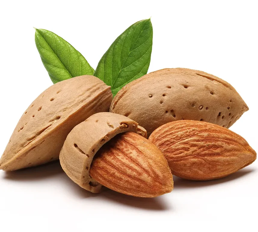High grade Almond Raw Almond Nut Wholesale Good Quality Nuts Mix Almond