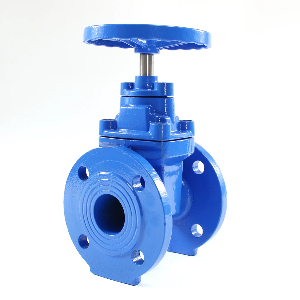Ductile Cast Iron GGG50 FLG Resilient Wedge Gate Valve