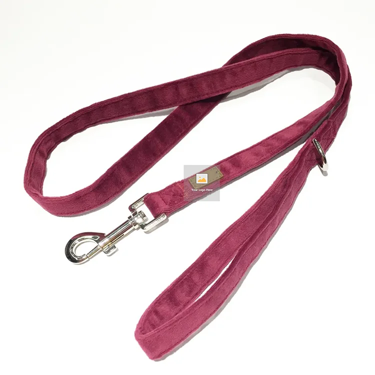 Packaging Flexi Leashes Custom Logo Collar 6mm Pet Macrame Collars And Leashes Pvc Coated Webbing Dog Leash