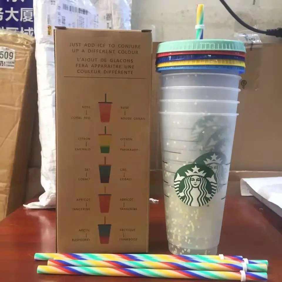 2021Classic log top Double Starbucks straw cup