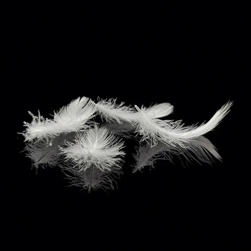 
Washed Goose Feathers Plume Natural Materials For Soft Filling Materials 