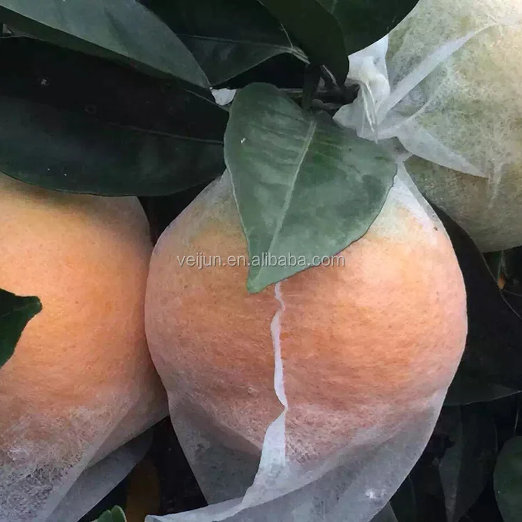 Supplies Wholesale Fruit Growing Protection Non Woven Mango/Grape/Banana Bag