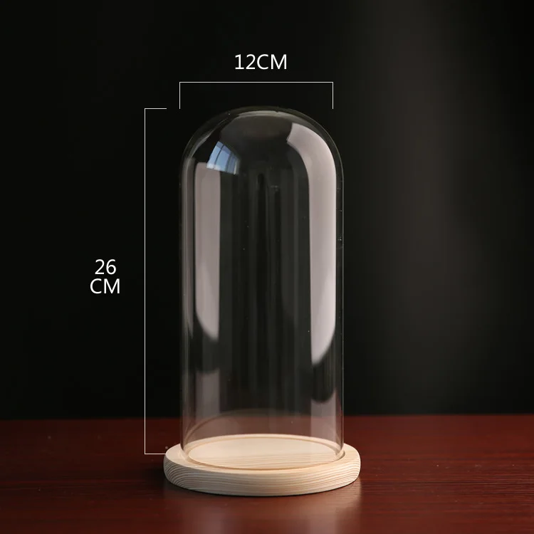 Led String Light Wood Base Display Preserved Rose Glass Dome With Beauty and the Beast