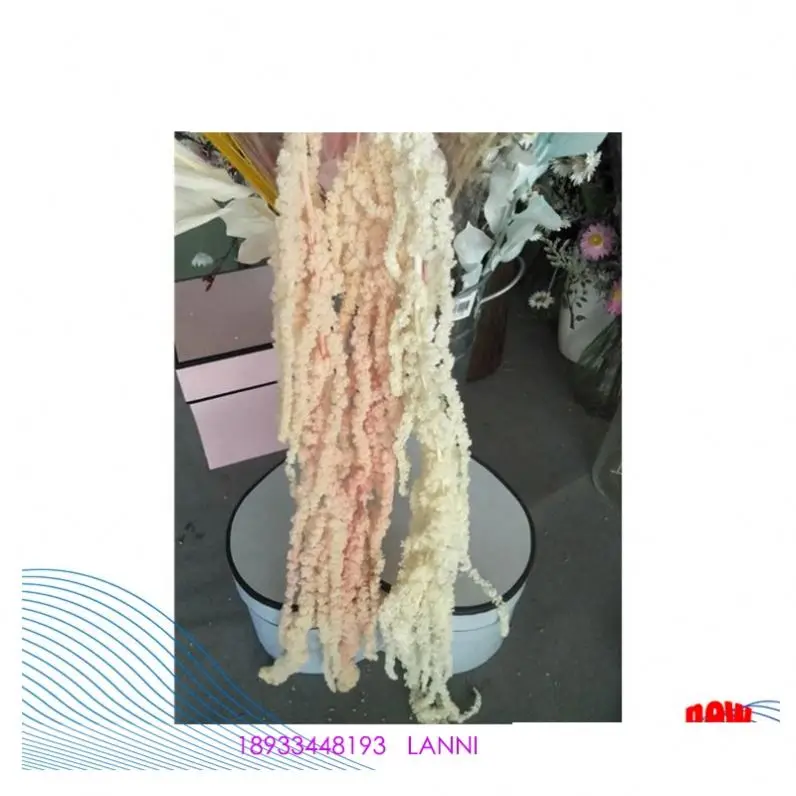 Yunnan factory supply wholesale natural rose flower preserved florist