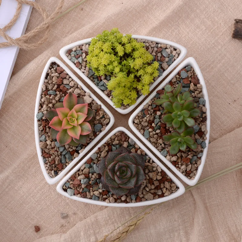 Competitive Price Triangle shape Succulent Planter Pot White Modern Decorative Desktop plant pot