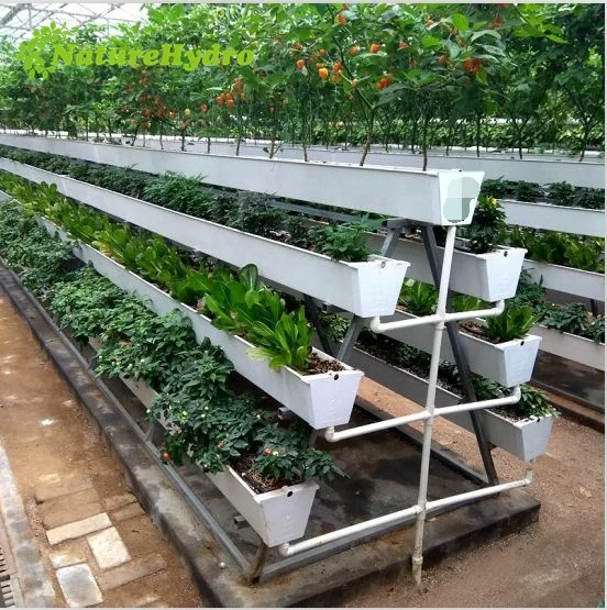 Vertical hydroponic channels pvc gutter grow system for strawberry