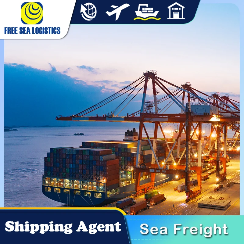 Дешевый самый быстрый морской перевозчик из Китая в Южную Африку от двери до DDP