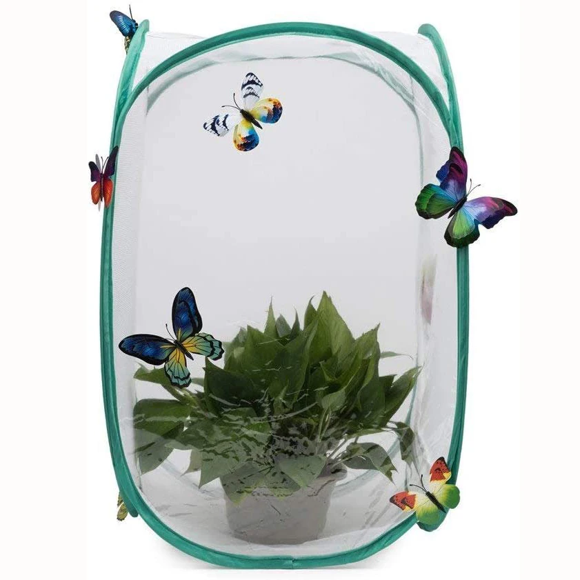 Collapsible Pop-up Insect Cage  And Butterfly Habitat