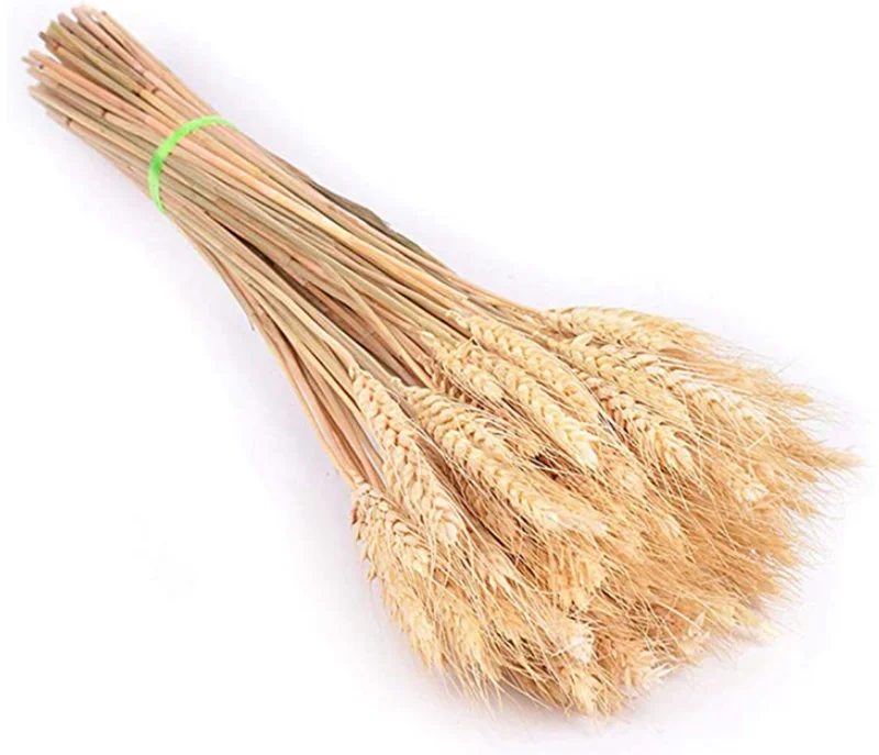 Dried Flowers Natural Wheat Straw Colorful Simulation Flower For Home Dining Art Wedding
