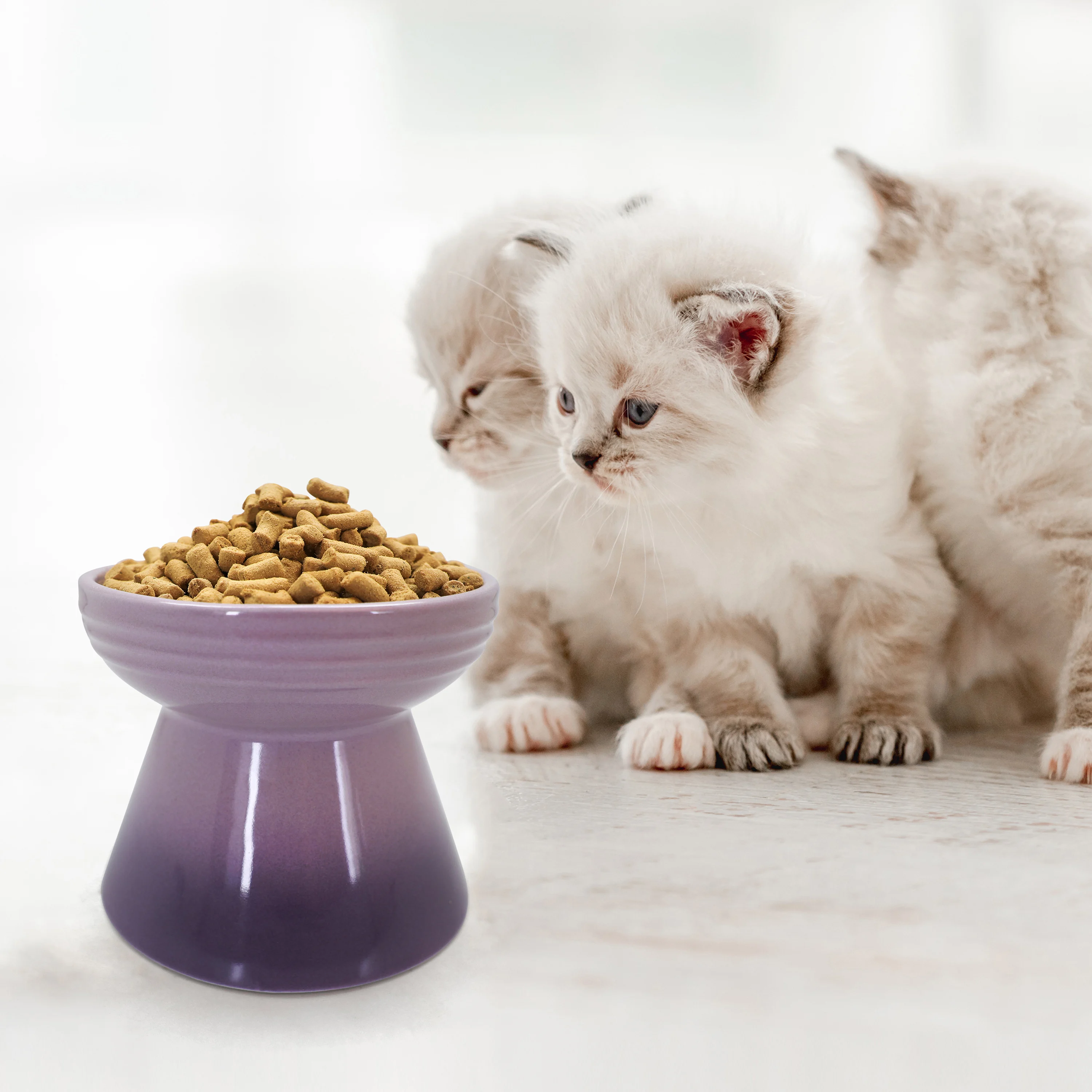 Manufacturer wholesale OEM ODM custom cat treats food chicken salmon mixi  kitten cat cat food wet grain free snack food