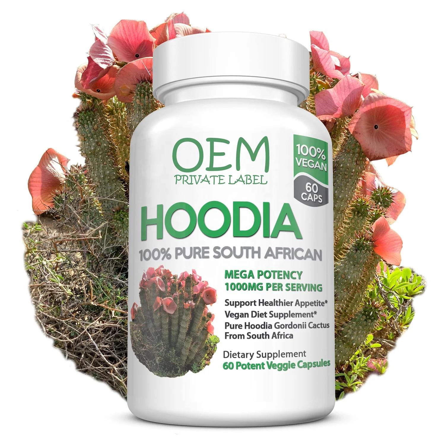Hoodia Gordonii Capsules Vegan Appetite Suppressant Carb Blocker Detox Slimming Fat Burner Capsules Hoodia Gordonii Extract