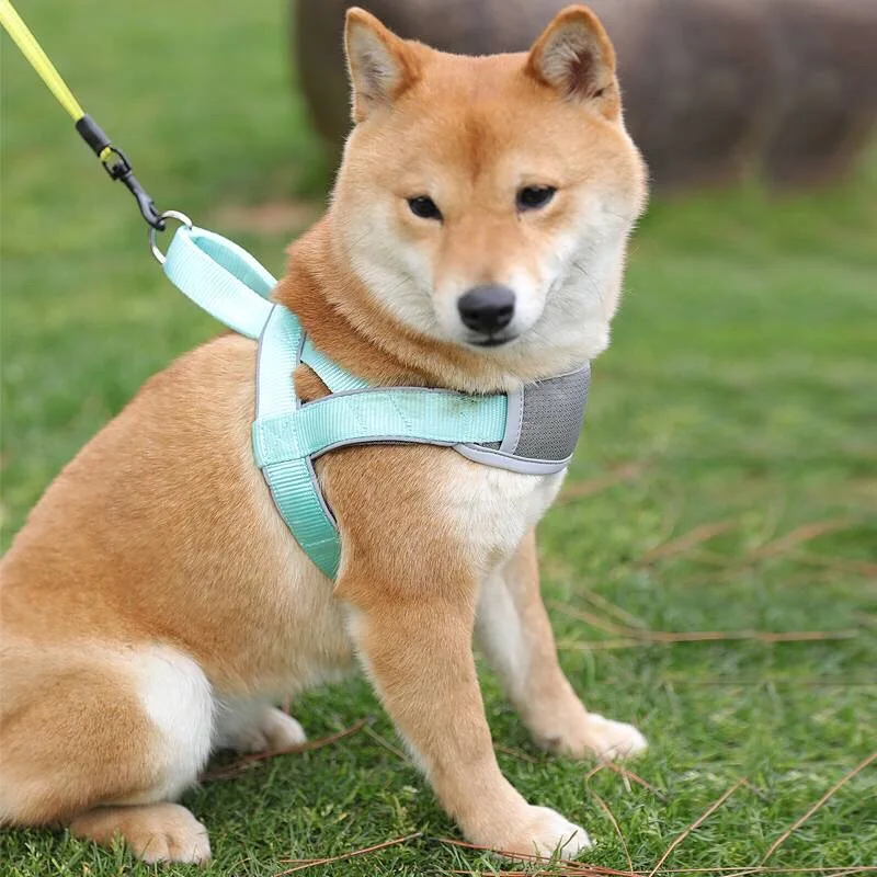 Adjustable Dog Harness Vest Pet Harness Reflective Dog Harness for Small Medium Big Dogs Walking