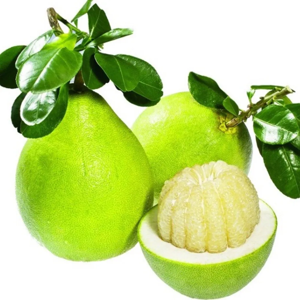 Fresh Citrus Fruit Green Peel Grapefruit Original Sweet Style ISO Certification Packing Plastic Color Material Raw