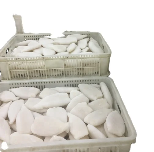 frozen squid tube todarodes pacificus