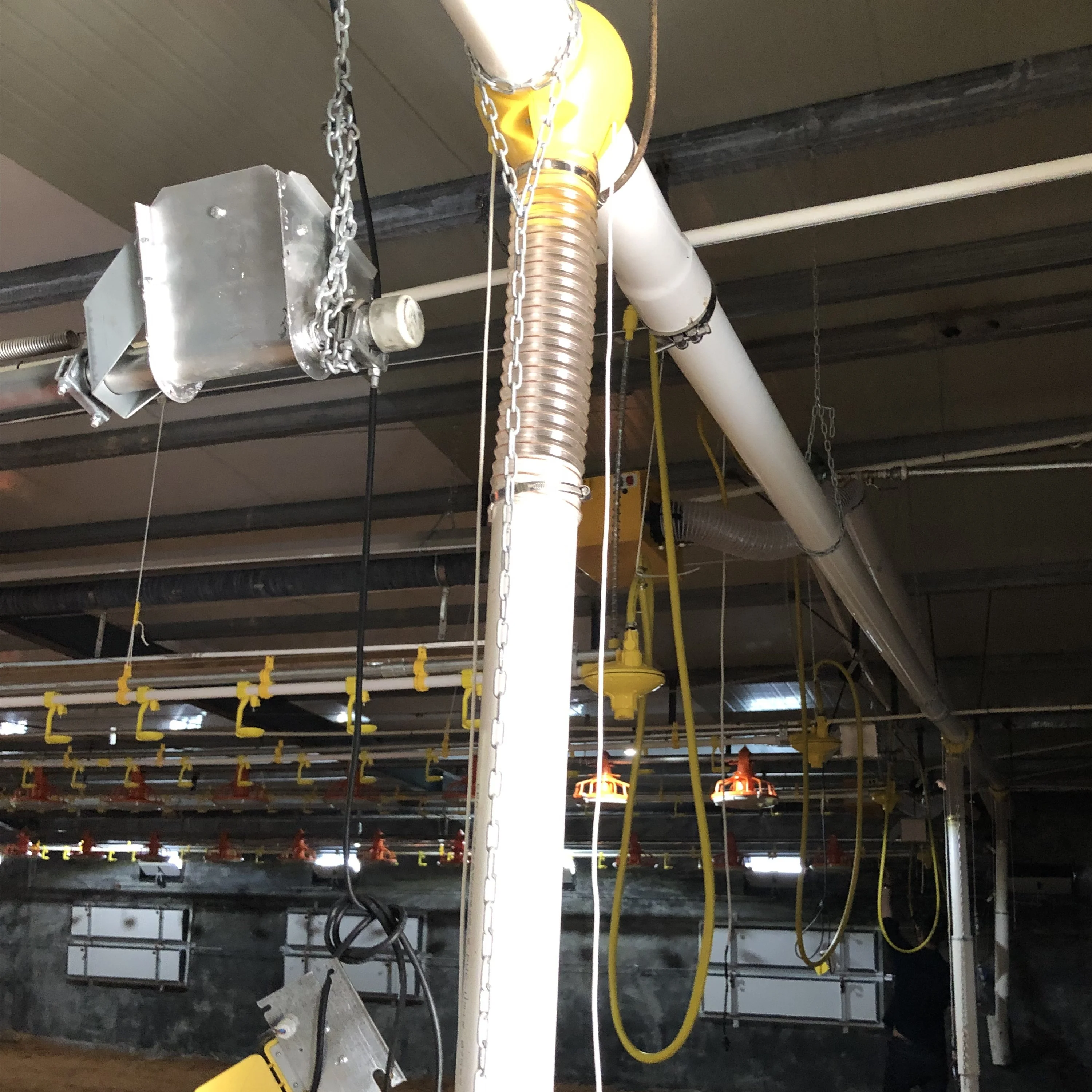 Автоматический открывающийся дом для птицы напольная система подачи корма Курятников