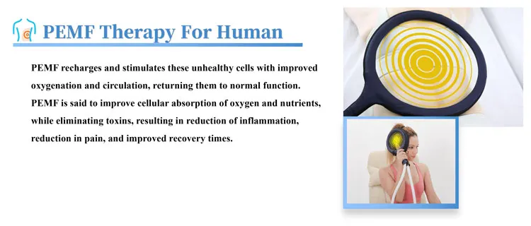 mat PEMF Equine And Human Pain Relief Machine Pulsed Electromagnetic Field PMST LOOP PRO MAX pemf Magnetic Therapy Machine