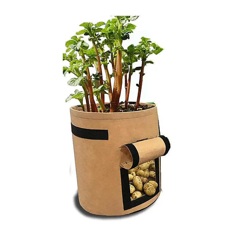 
2020 new design customized 5 gallon 7 gallon 10 gallon vegetable strawberry plant grow bags for home  (1600140935690)
