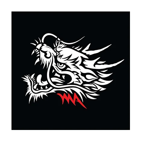 custom Embroidery  Patch for Clothing