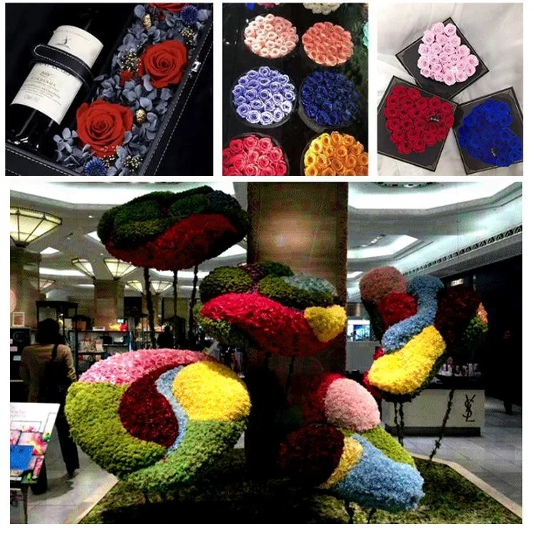 
China factory wholesale 5-6cm rosas preservadas al por mayor ecuador 