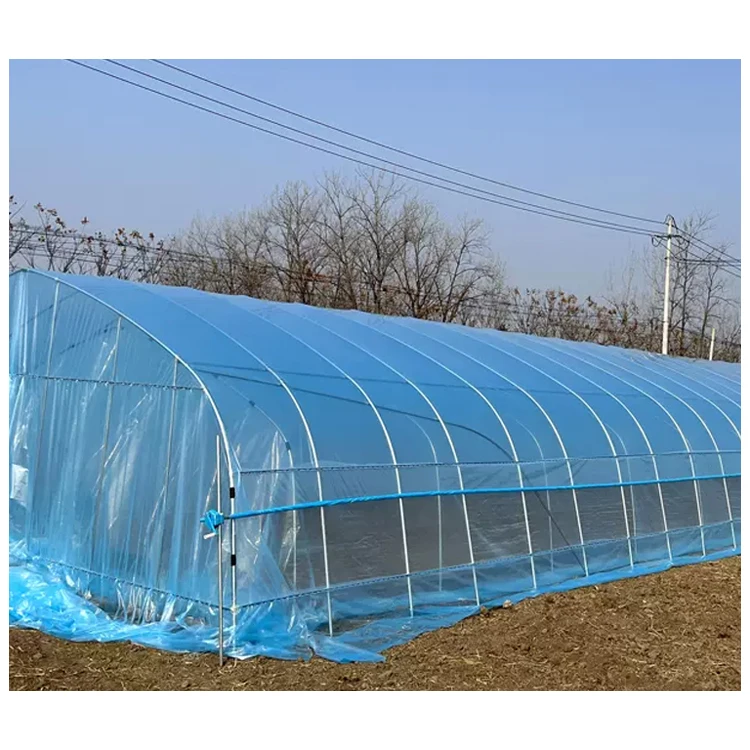 Agricultural greenhouses plastic film cultivation tomato greenhouse cover for sale