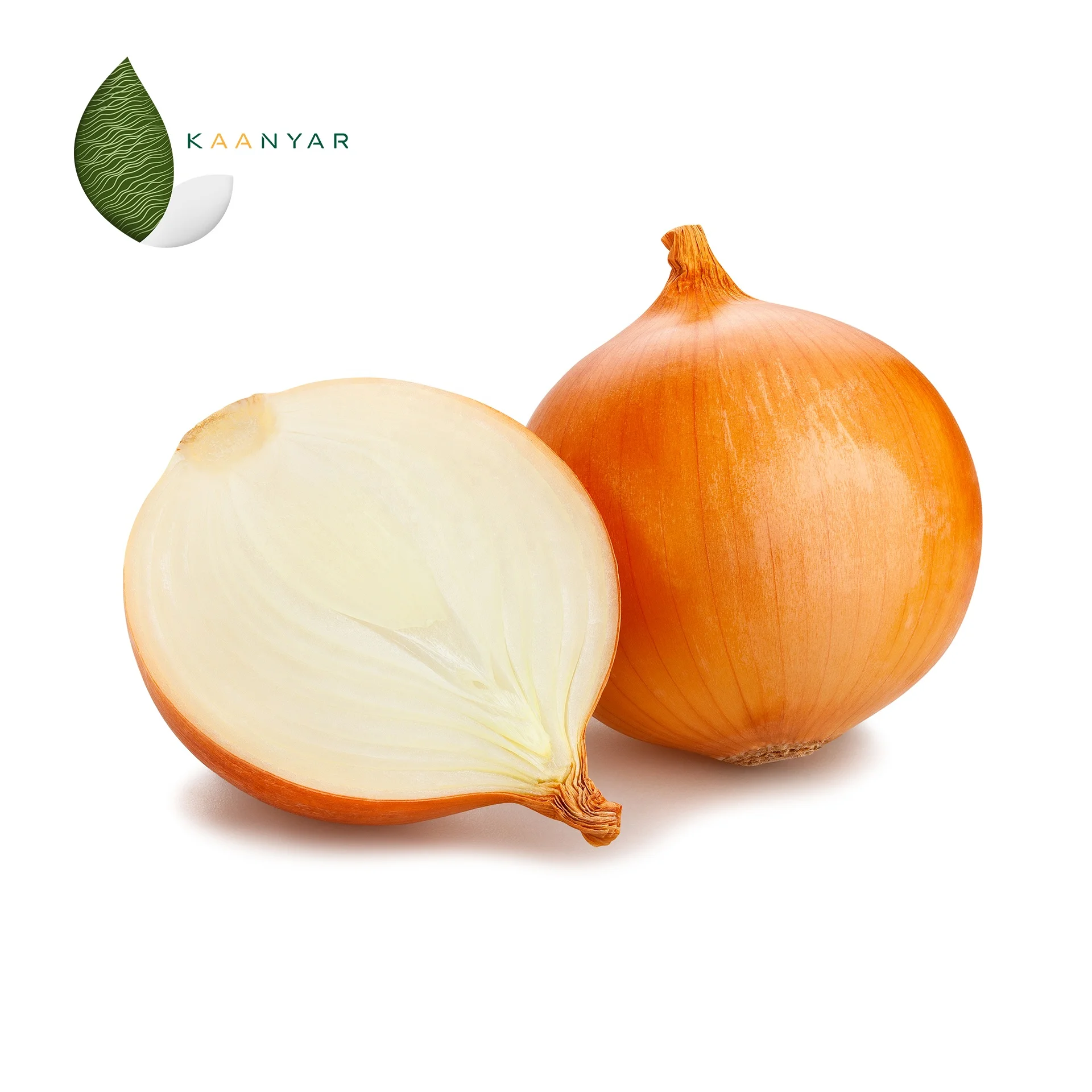 
Kaanyar High Quality Fresh Onions (Red Onions / White Onions / Yellow Onions) 