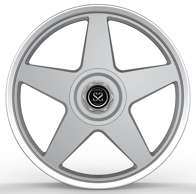 Matt Silver 5-Spokes  Big Cap Forged Rims 22x10.5 5x112 For Audi rs6 c7 2013 year