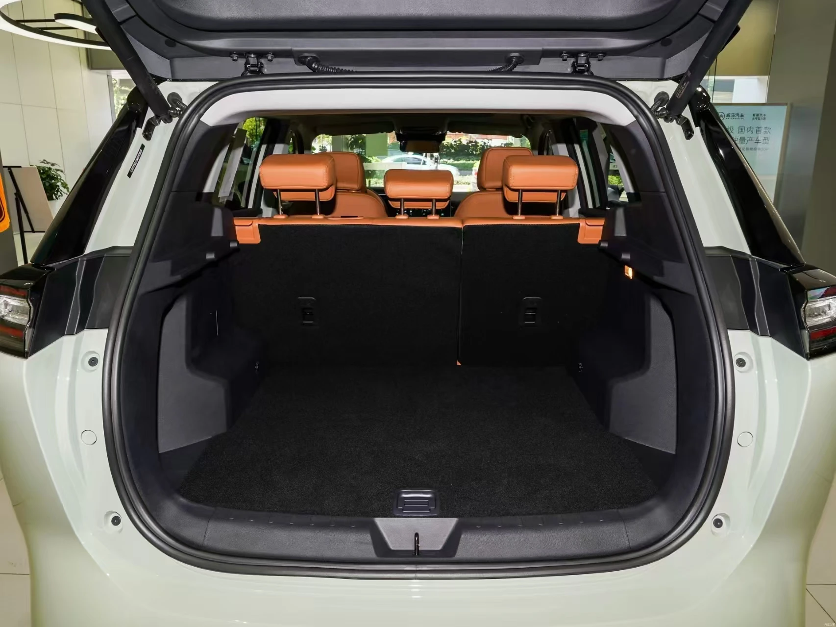 2021-2022 Top-selling  Pure electric mid-size black SUV WM Motor Weimar W6 520km PRO All-round Edition
