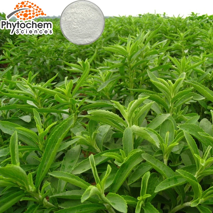 
Hot sales best price RA60% TSG95% Stevia Leaf Extract 