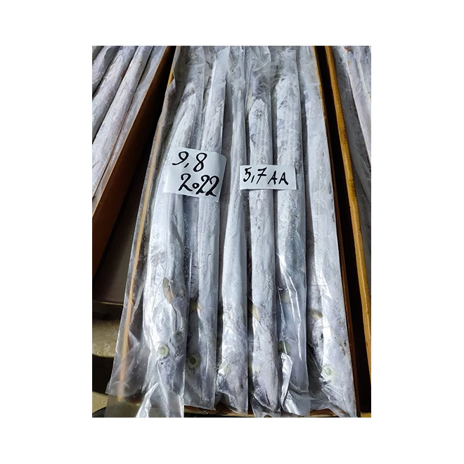 High Quality Price Manufacturers Fresh Seafood Frozen Ribbonfish