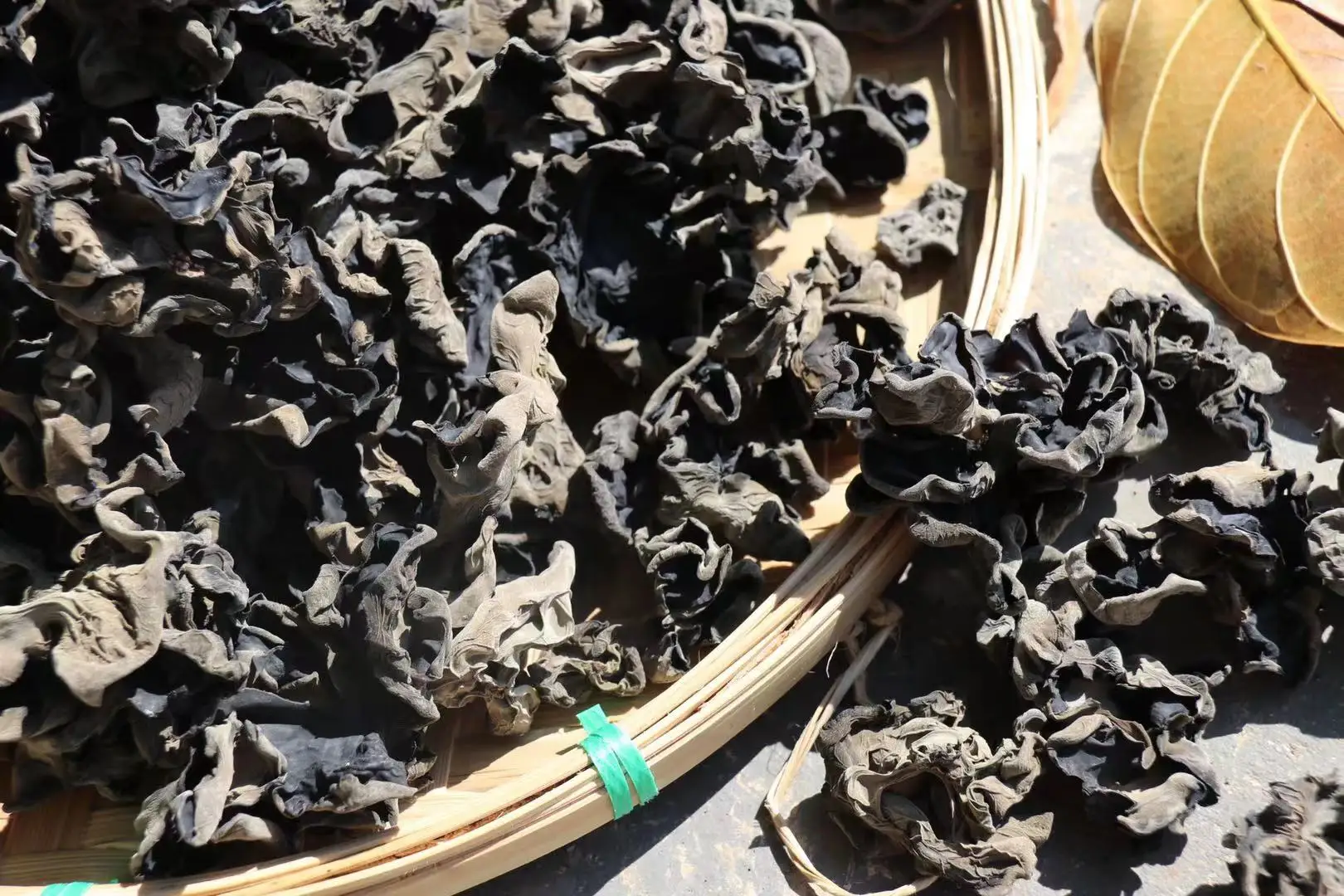 
Health Natural Organic Mulberry Branch Dried Fungus Wood Ear Gift Suit Box 