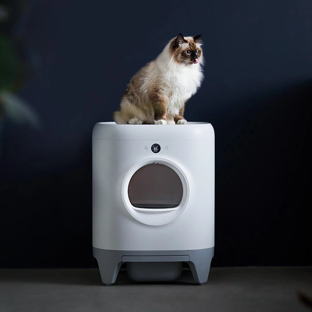 2022 Wholesale Hidden Cat Litter Box New Smart Large Cat Litter Box New Luxury  Automatic Cat Litter Box Hinged Top