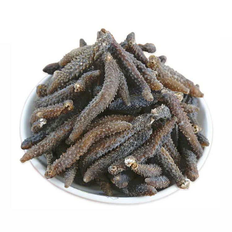 Wholesale Dried Sea Cucumber