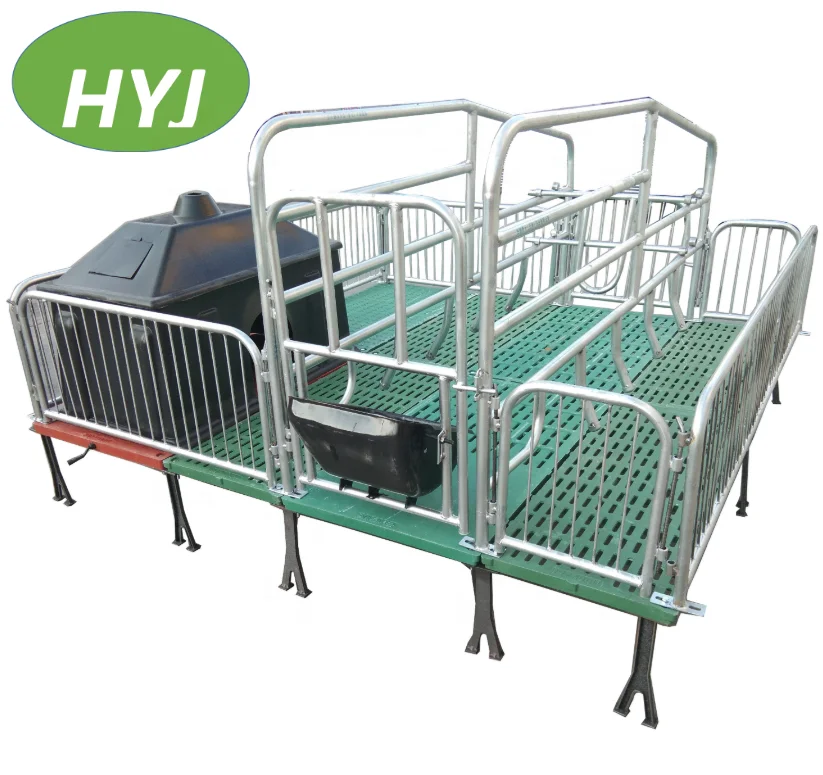 PVC Board Pig Farm Covered Farrowing Crates For Sale European Style