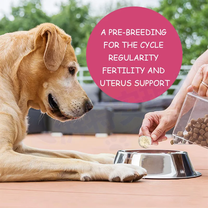 Wholesale Vitamin Dog Pregnant Pet Supplements Suppliers Maintains Promotes Regular Successful Cycle Dog Fertility Supplement