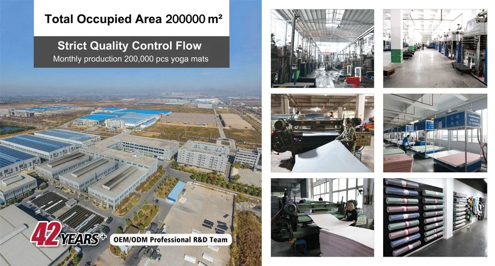 Sansd High Quality Eco Friendly Free Sample Cheap Pilates Mat Wholesale Waterproof Anti Slip  Professional TPE Yoga Mat