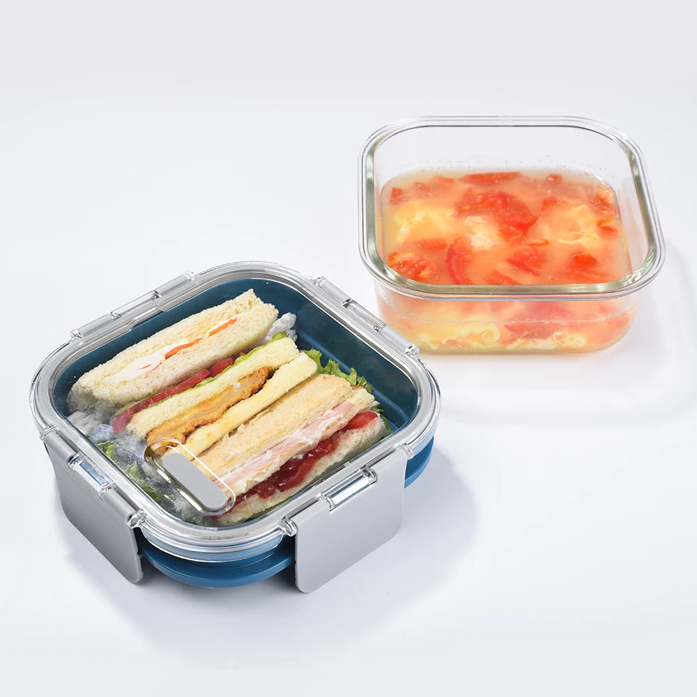 Double Layer Glass Lunch Box with  MS Material Lid lunch box