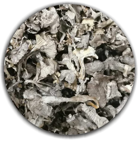 Dried Craterellus cinereus (The Fragrant Trumpet) -  First grade