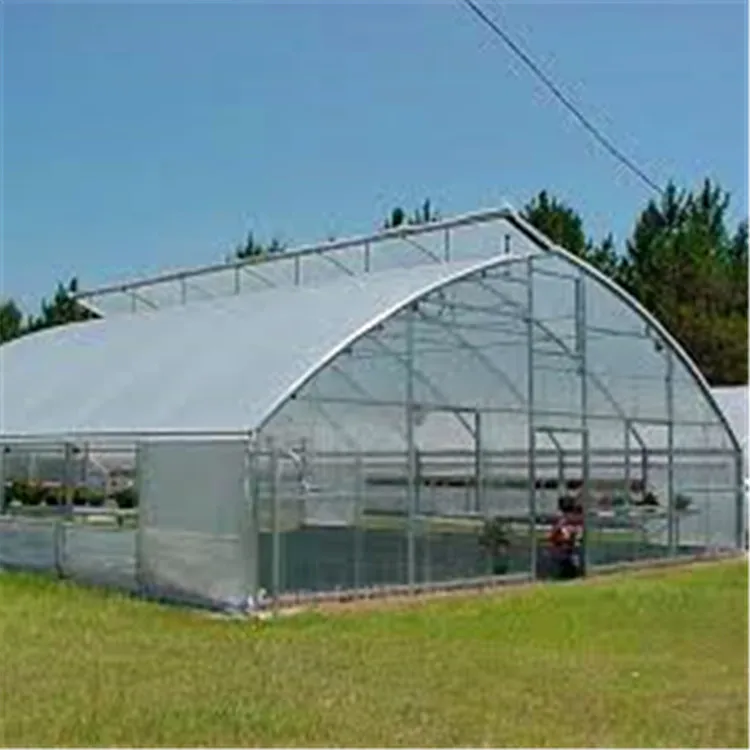 Selling Single Span greenhouse for agriculture plant cultivation