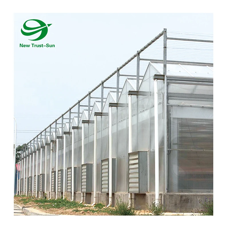 Polycarbonate sheet Green house tomato hydroponics growing greenhouse for agricultural