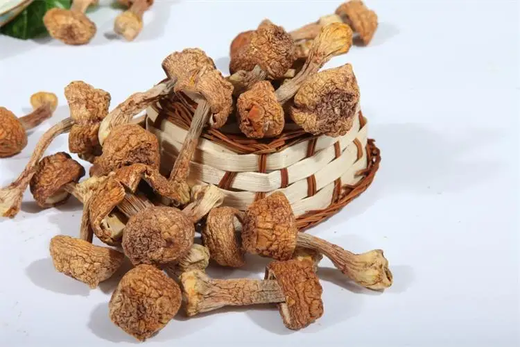 Wholesale High Quality Agaricus Blazei Polysaccharides Murill Mushroom Extract