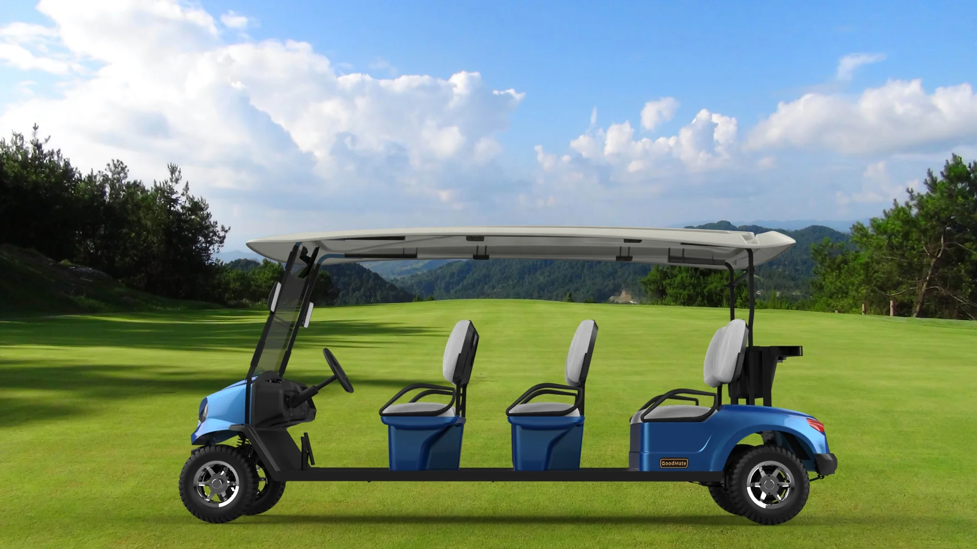 6 Seater Electric Golf Cart, Utility Buggy Food Golf Carts