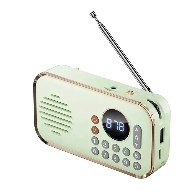 Portable P35 FM radio digital musical sound BT Speakers audio system sound professional music player speaker with FM Radio