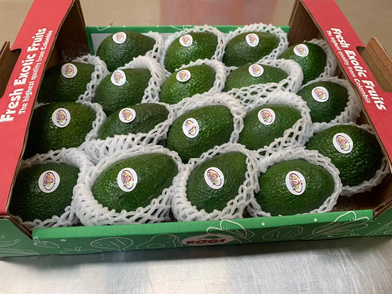 
100% Natural Hass Avocado from Colombian with Wholesale Quantity 