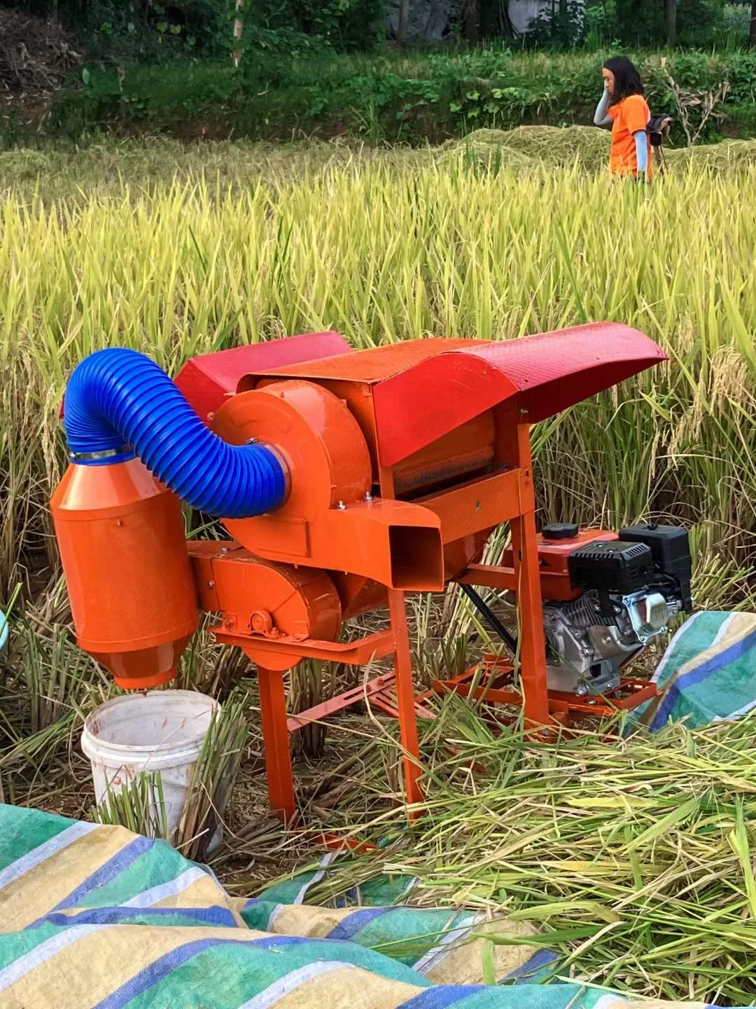 Maize Thresher For Sale Maize Thresher  small scale sorghum soybean paddy rice wheat peeler corn sheller thresher machine